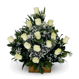 Pie de Urna 15 Rosas Para Condolencias.
